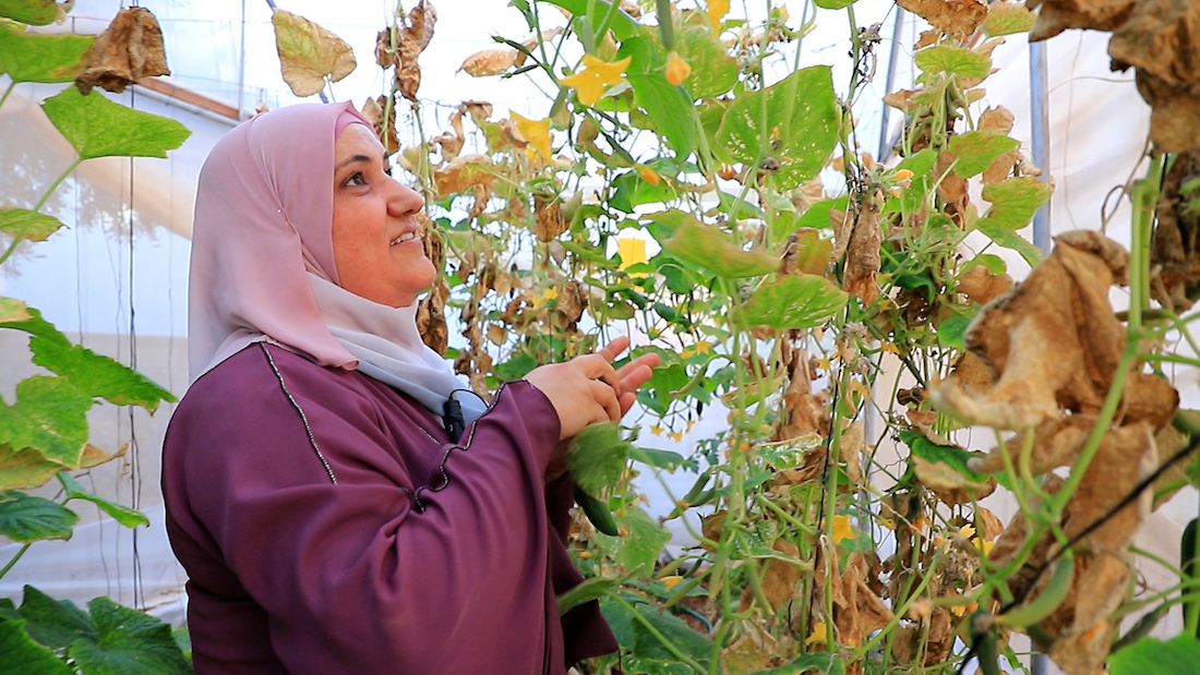 From Loss to Harvest: The Story of Itimad